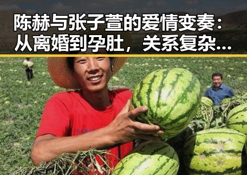 陈赫与张子萱的爱情变奏：从离婚到孕肚，关系复杂令人咋舌