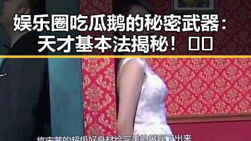 娱乐圈吃瓜鹅的秘密武器：天才基本法揭秘！🤫✨