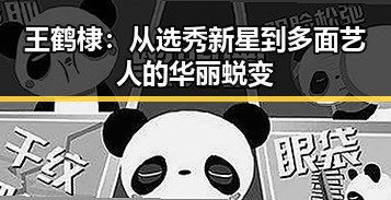 王鹤棣：从选秀新星到多面艺人的华丽蜕变