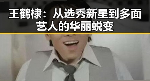 王鹤棣：从选秀新星到多面艺人的华丽蜕变